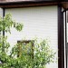 Фасадная панель Grand Line Сланец бежевый купить в Боровичах